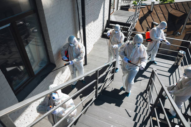 Best Real Estate Mold Inspection  in Raynham Center, MA
