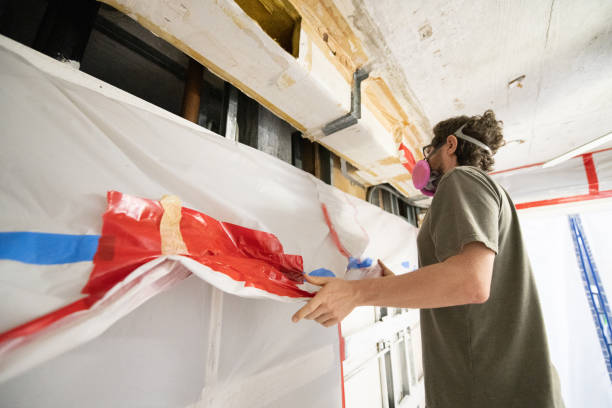 Best Mold Damage Restoration  in Raynham Center, MA