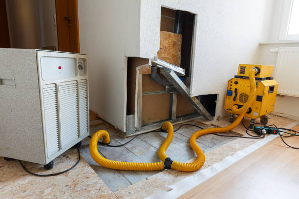 Best HVAC Mold Inspection and Cleaning  in Raynham Center, MA