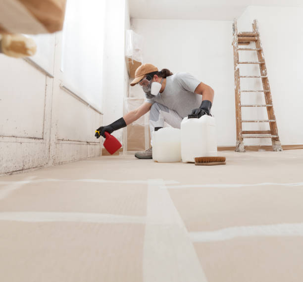 Best Forensic Mold Investigation  in Raynham Center, MA